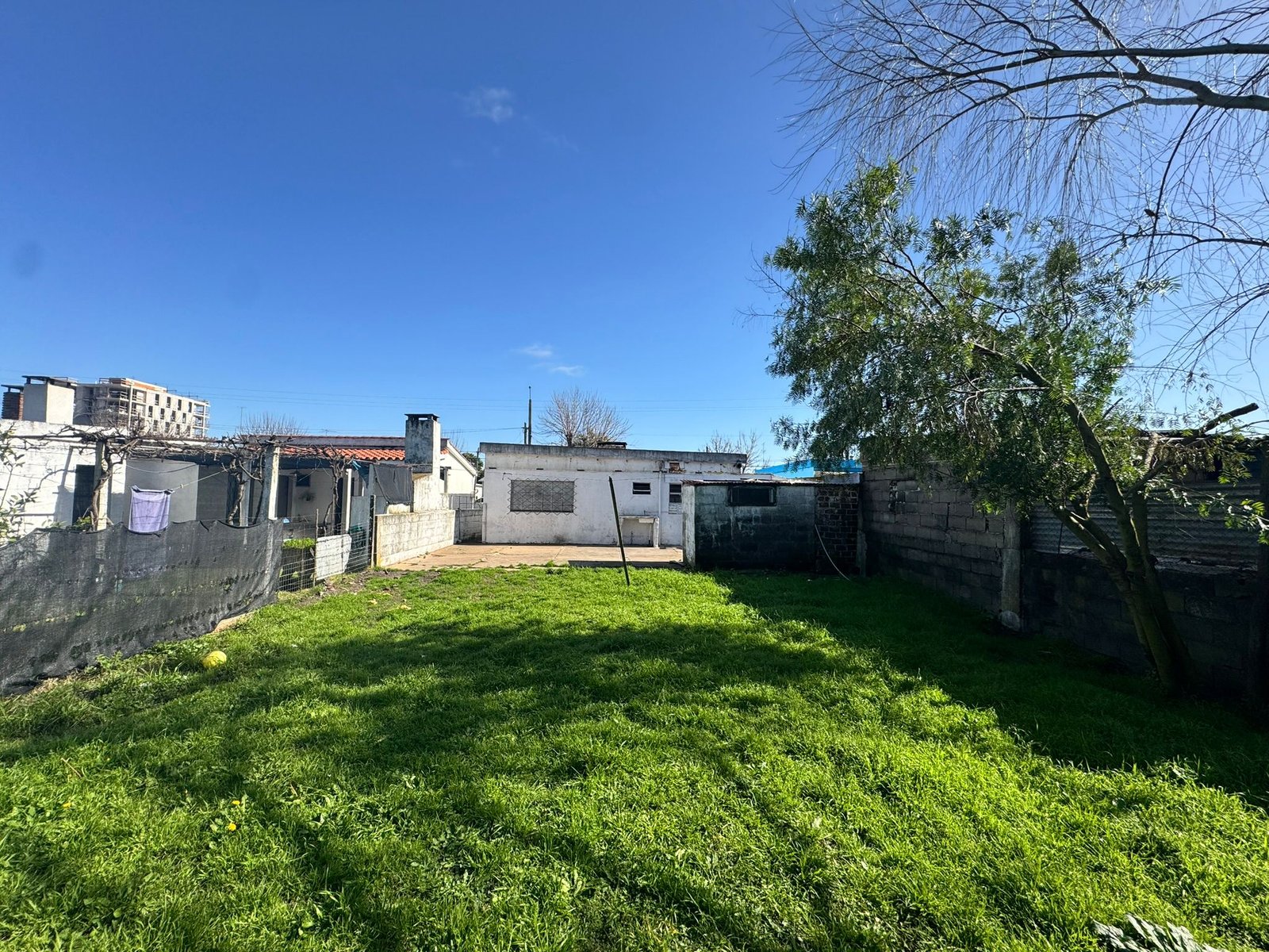 Muy buena construcción – Sobre calle Rodó — imagen 12