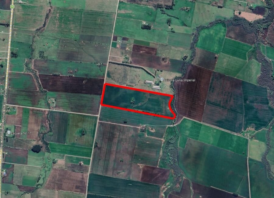 Campo de 25 Ha a pocos metros de Ruta 45