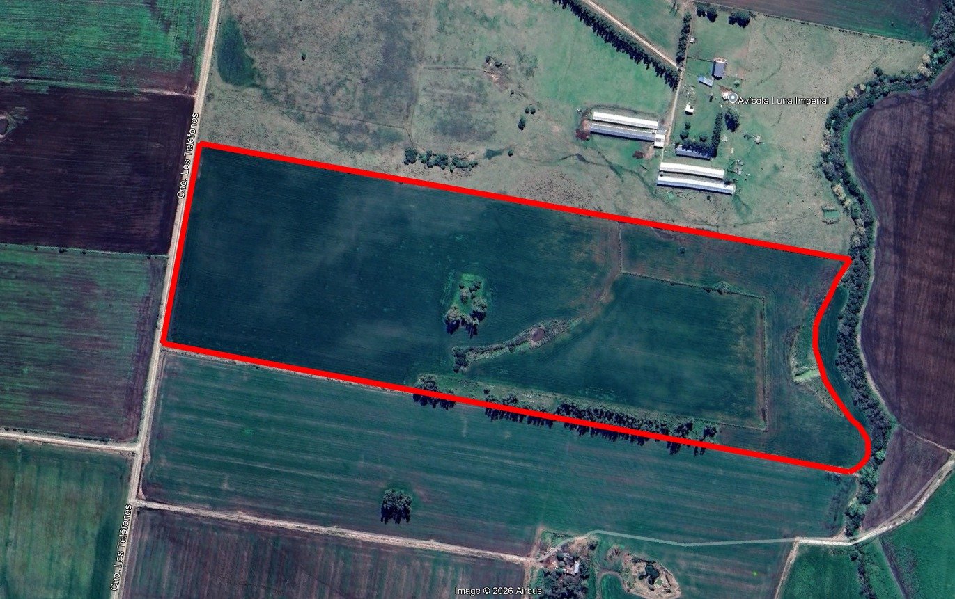 Campo de 25 Ha a pocos metros de Ruta 45 — imagen 2