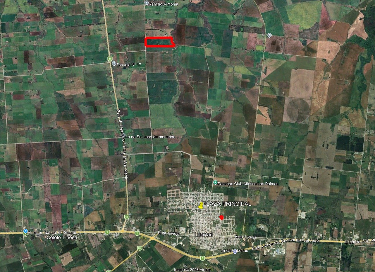 Campo de 25 Ha a pocos metros de Ruta 45 — imagen 3