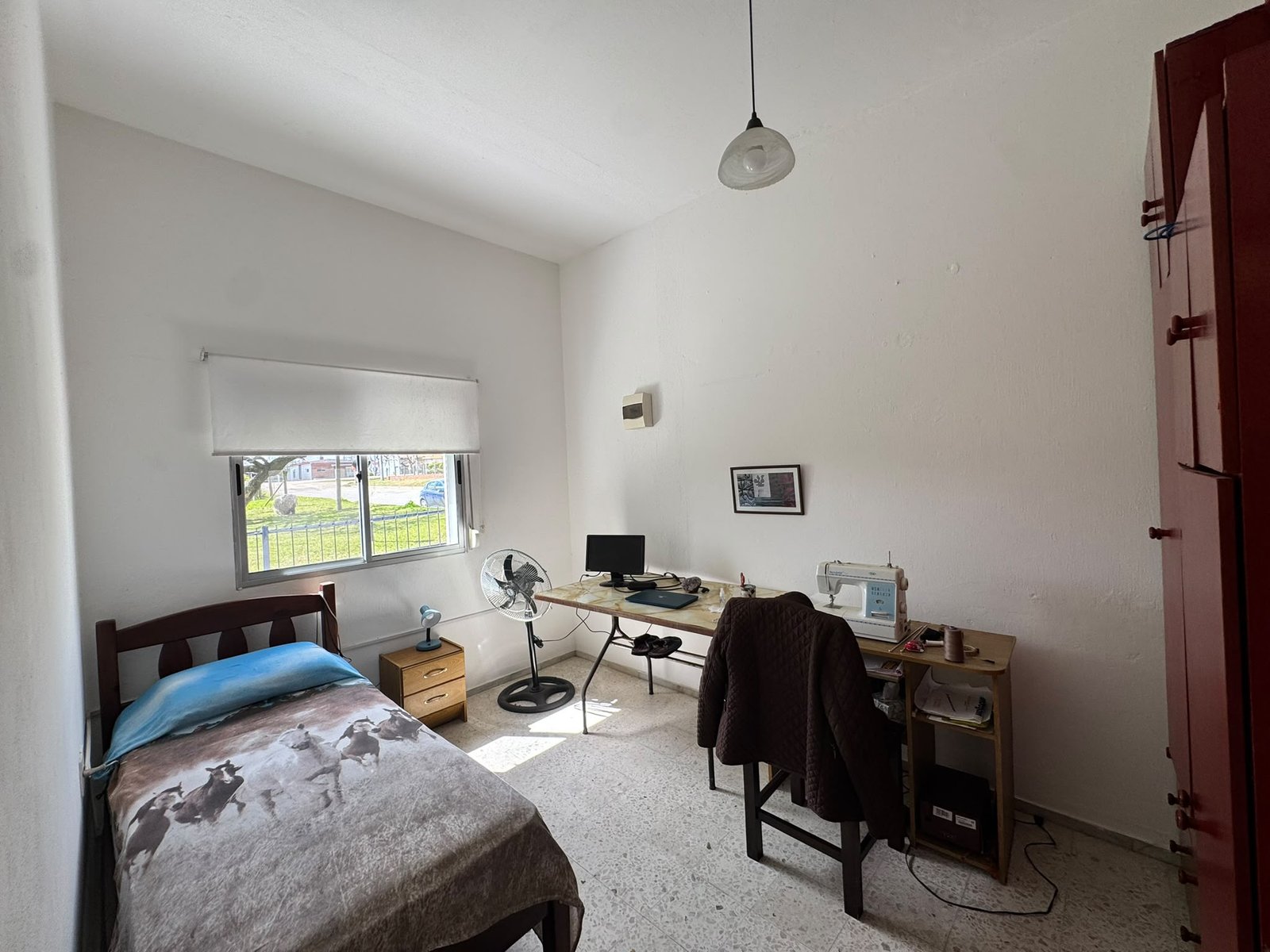 Casa de 3 dormitorios con amplio terreno y frutales en Puntas de Valdez — imagen 11
