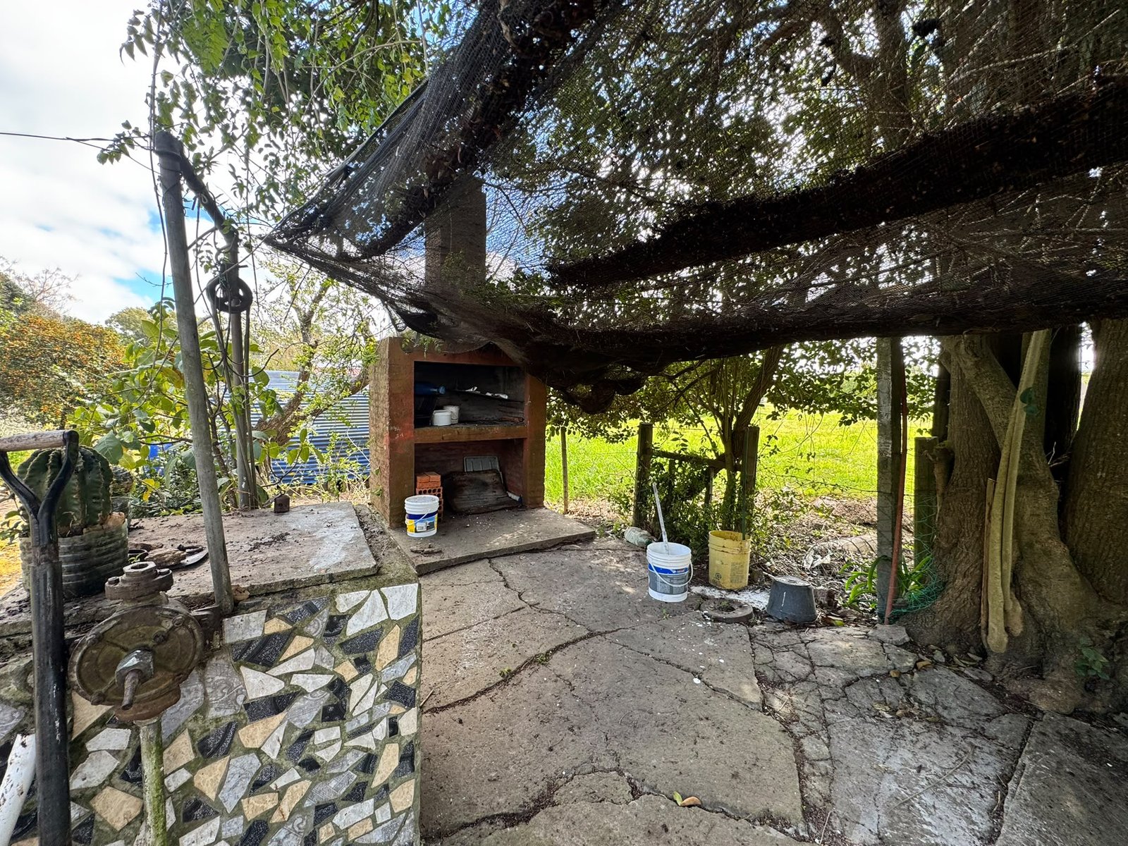 Casa de 3 dormitorios con amplio terreno y frutales en Puntas de Valdez — imagen 16