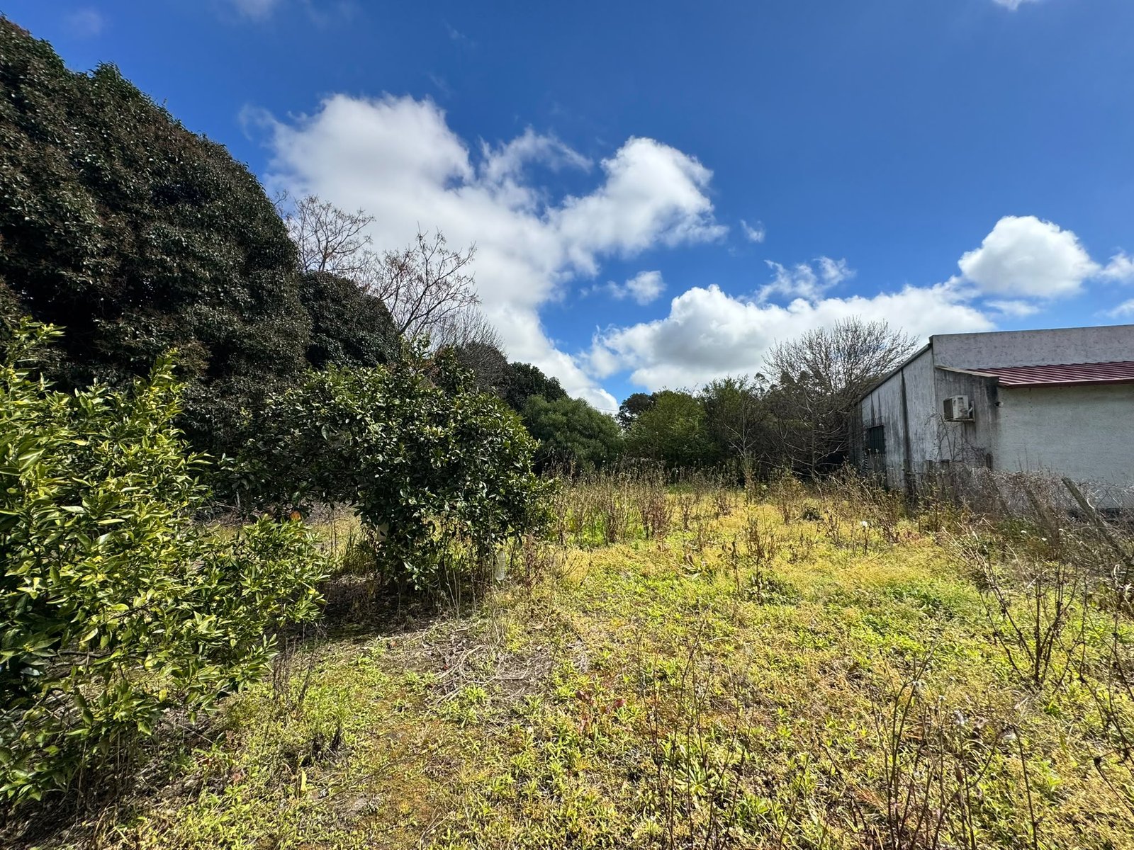 Casa de 3 dormitorios con amplio terreno y frutales en Puntas de Valdez — imagen 18