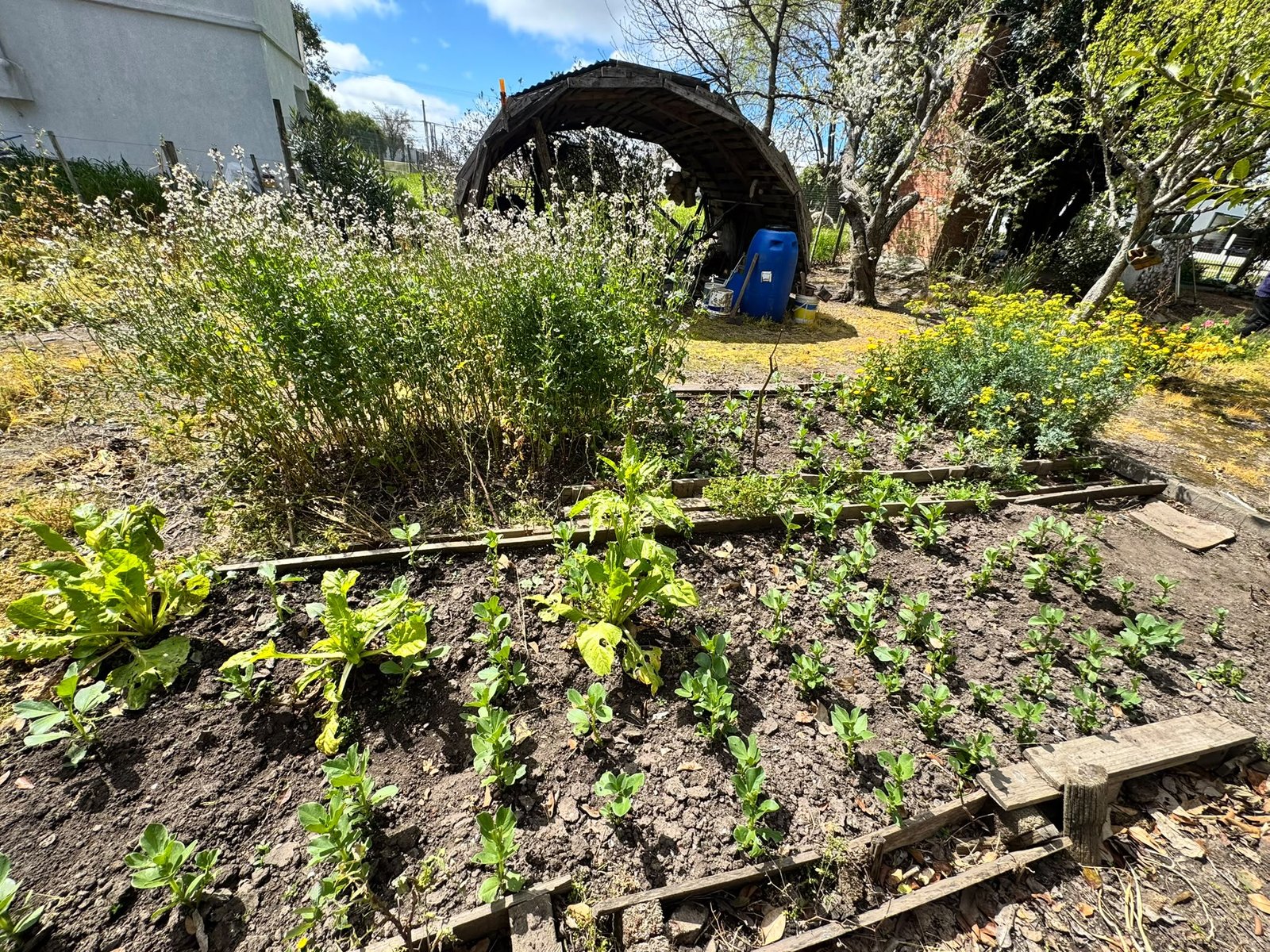 Casa de 3 dormitorios con amplio terreno y frutales en Puntas de Valdez — imagen 19