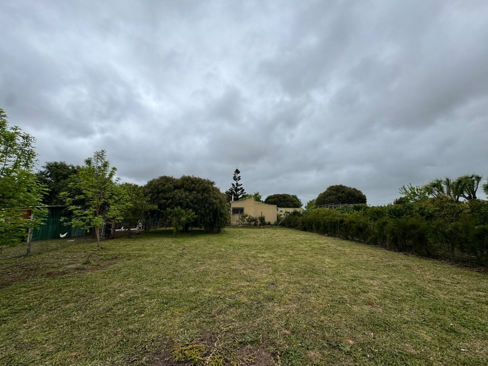 502 m² sobre la Avenida de Kiyú, zona Parador del Medio — imagen 2